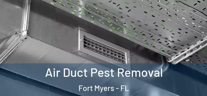 Air Duct Pest Removal Fort Myers - FL