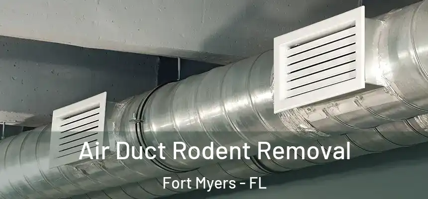 Air Duct Rodent Removal Fort Myers - FL
